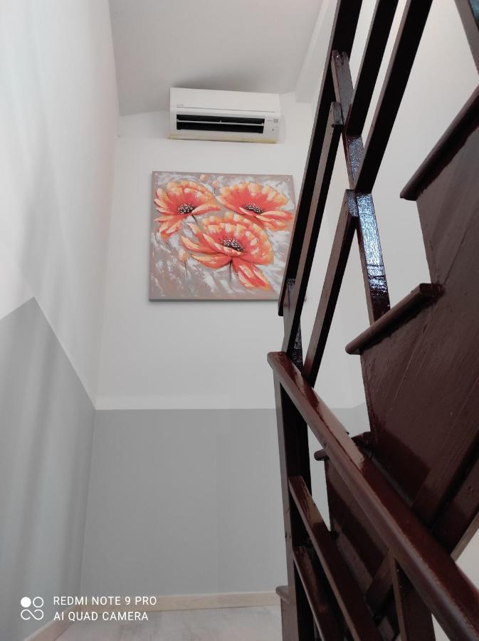 Apartma Izola Exteriör bild